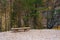 Autumn landscape in Brenta Dolomites with a lonely wooden bench in a beautiful day