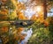 Autumn landscape with a bridge