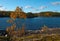 Autumn landscape. Bright yellow birch on the shore. Water surface of the lake  islands.