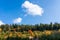 Autumn landscape in the Carpathian mountains, deciduous woods mixed with pine woods