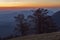 Autumn landscape in the Carpathian mountains with winged beeches and dusk on the horizon.