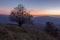 Autumn landscape in the Carpathian mountains with winged beeches and dusk on the horizon.