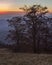 Autumn landscape in the Carpathian mountains with winged beeches and dusk on the horizon.