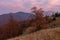 Autumn landscape in the Carpathian mountains with winged beeches and dusk on the horizon.