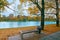 Autumn landscape of city park with bench, birch trees and blu
