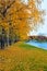 Autumn landscape of city park with golden trees and pond with br