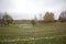 Autumn landscape in the city park. Stone amphitheater, located along the circle of the central platform. Trees in yellow foliage,