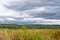 Autumn landscape. Cloudy day with dark clouds over yellow field. Cloudy wheat field. Autumn nature landscape.