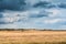 Autumn landscape with cloudy weather, large rainy clouds over a chamfered yellow field