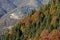 Autumn landscape on Colla valley