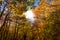 Autumn landscape of a colored autumnal trees with a beautiful blue sky behind. Aguilar de Campoo