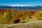 Autumn landscape with colorful deciduous forest and snowy mountains, Romania