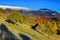 Autumn landscape with colorful deciduous trees and snowy mountains, Romania