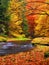 Autumn landscape, colorful leaves on trees, morning at river after rainy night.