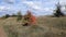 Autumn landscape. Country road leading forward. Beautiful sky.