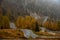 Autumn landscape with curved road. Passo di falzarego South Tyrol in Italy