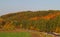 Autumn landscape with curvy empty road