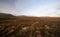 Autumn landscape of Dartmoor