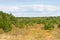 Autumn landscape deciduous trees. Climax, stable ecosystem, purity of nature, Sumy region, Ukraine, net area. Sustainable