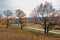 Autumn landscape, deciduous trees covered with multi-colored yellow red leaves, Oaks throw off multi-colored autumn foliage, sad