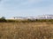 Autumn landscape with dry grass in foreground, line of green plants and blurred white slopes of Mount Ak-Kaya