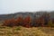 Autumn landscape in El Chalten Patagonia Argentina