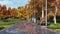 Autumn landscape with empty bench in city park 3D