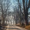 Autumn landscape with empty road