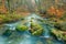 Autumn landscape, fast mountain river and moss covered rocks