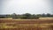 Autumn landscape. Floodplain and river Berezina. Sunny day in October.