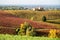 Autumn landscape, foliage and vineyards in Castelvetro, Modena, Italy