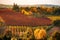 Autumn landscape, foliage and vineyards in Castelvetro, Modena, Italy