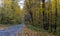 Autumn landscape, forest in autumn, yellow leaves. Beautiful background or screen saver on the phone and computer