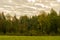 Autumn landscape. Forest edge with yellowing foliage and cloudy cloudy sky