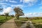 Autumn landscape with a fork in the field roads