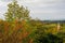 Autumn Landscape in Friuli