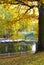 Autumn landscape. Gazebo for relaxing among the yellow autumn trees. The boats are moored to the shore of the lake. A