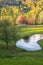 Autumn landscape with geese grazing on the lawn near small pond