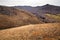 Autumn landscape with gentle hills covered with yellow autumn grass and bare autumn tree