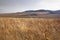 Autumn landscape with gentle hills covered with yellow autumn grass with deep shadows in the bright backlight during dawn