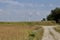 Autumn landscape with giant wind power turbines in a crop field