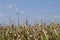 Autumn landscape with giant wind power turbines in a crop field