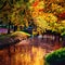 Autumn landscape. Golden autumn scene in a park with falling lea