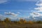 Autumn landscape with golden trees. Panoramic view with beautiful sky