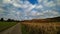 Autumn landscape with great clouds sky