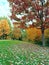 Autumn landscape with green lawn and colorful trees