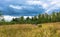 Autumn landscape with a group of cyclists.