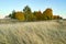 Autumn landscape the grove and meadow