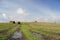 Autumn landscape. Harvested field after rain. Straw bales horizon