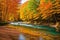 The autumn landscape has a trout river with clear water and a forest with sand patterns.